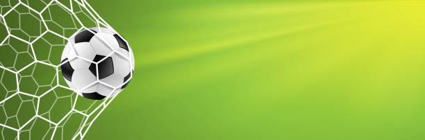 soccer goal background green vector